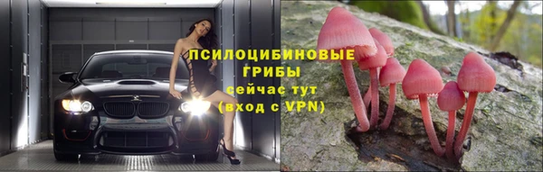 шишки Алексин