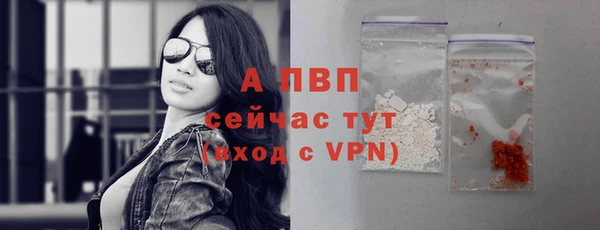 трава Сосновый Бор