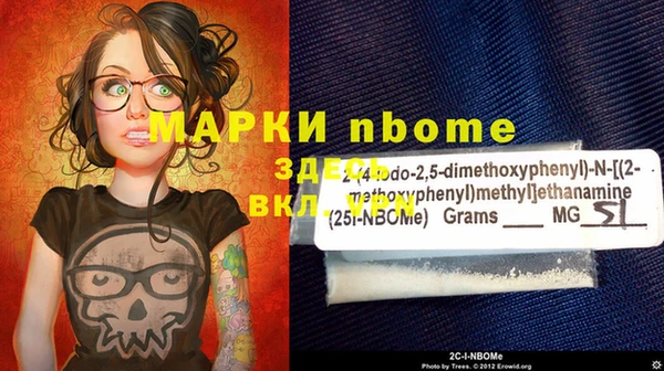 шишки Алексин